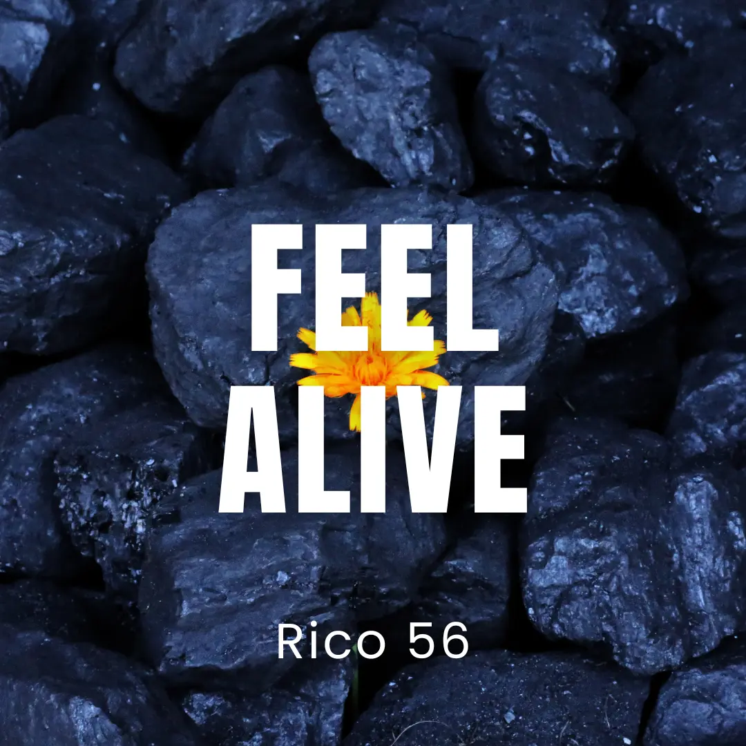 Feel Alive