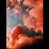 LimPD